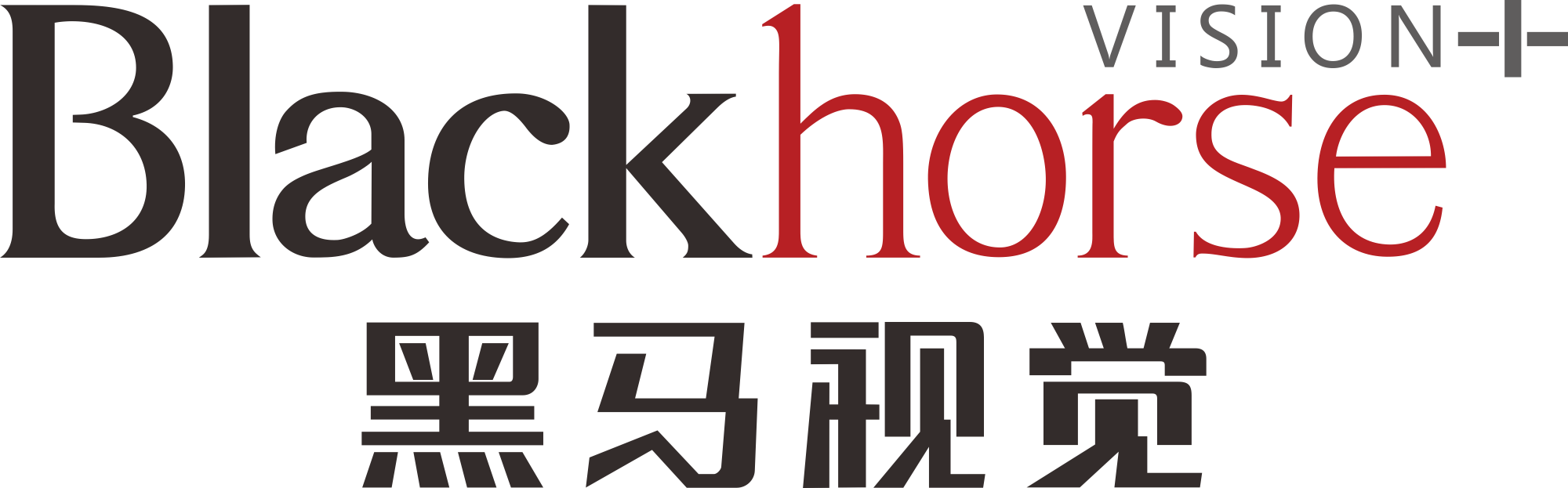 深圳網站建設_深圳網站制作_專業網頁開發設計_黑馬視覺網絡公司